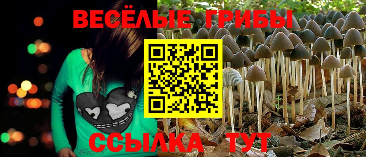 Галлюциногенные грибы GOLDEN TEACHER Первоуральск