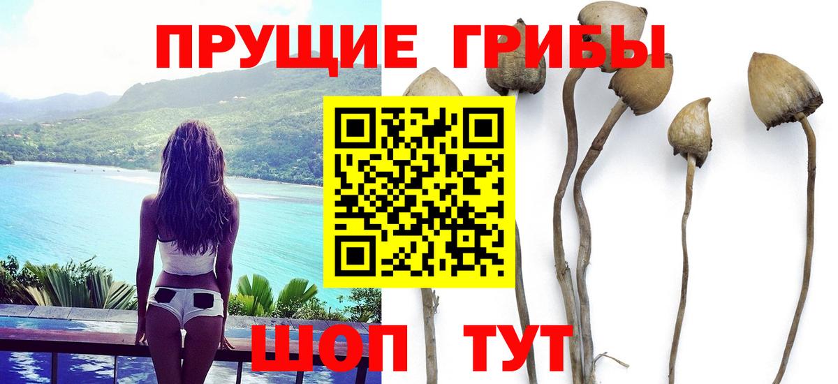 Галлюциногенные грибы прущие грибы  Псилоцибиновые грибы MAGIC MUSHROOMS  Первоуральск  купить наркотик  Вход с VPN 